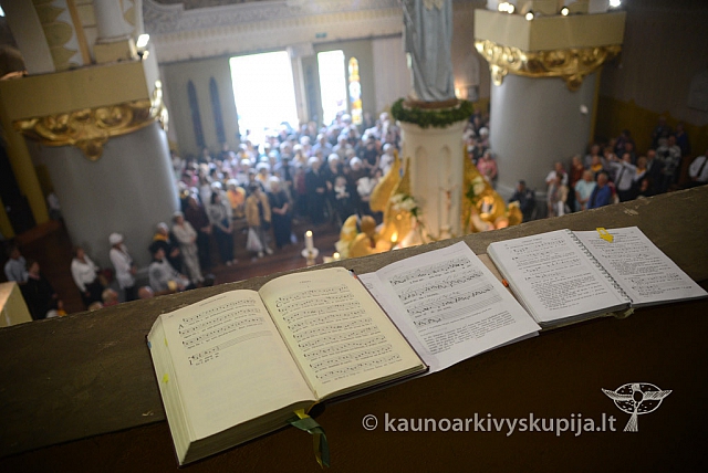 20140913 silines 2391 ms