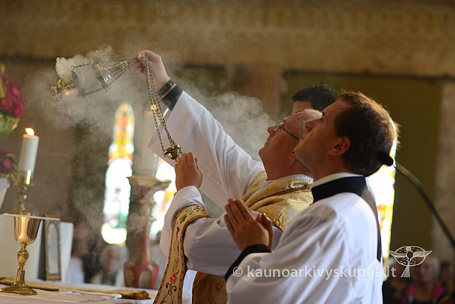 20140913 silines 2418 ms