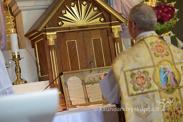 20140913 silines 2429 ms