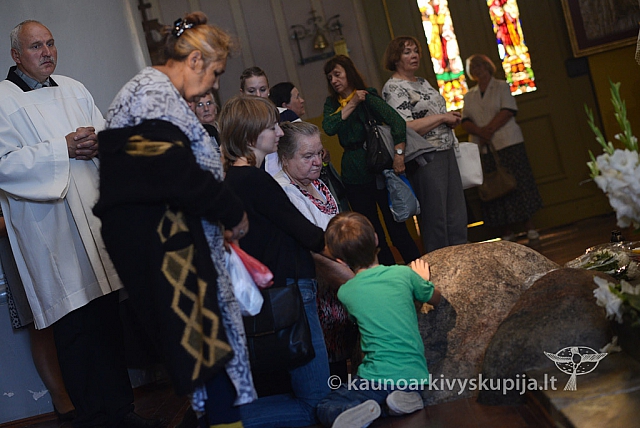 20140913 silines 2439 ms