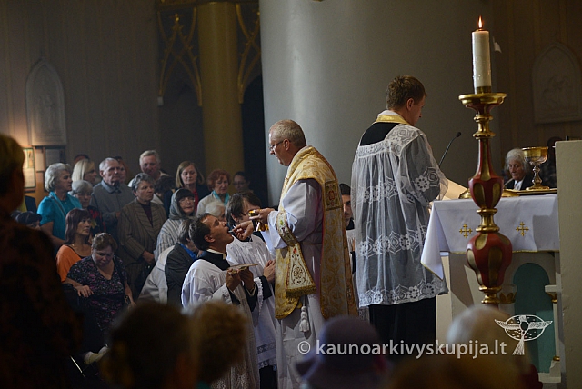 20140913 silines 2454 ms