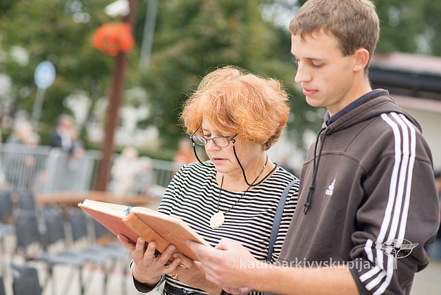 20140914 silines 2822 ms