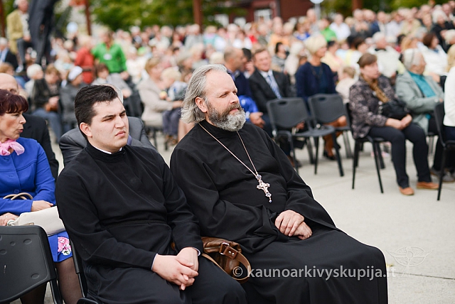 20140914 silines 2834 ms