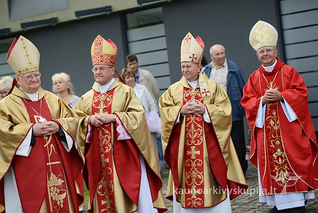 20140914 silines 2848 ms