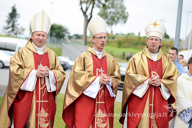 20140914 silines 2861 ms