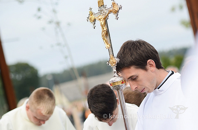 20140914 silines 2864 ms