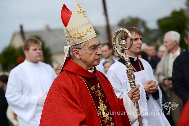 20140914 silines 2881 ms