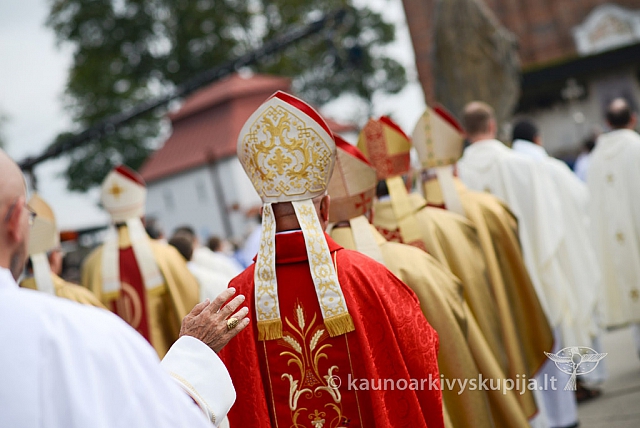 20140914 silines 2882 ms