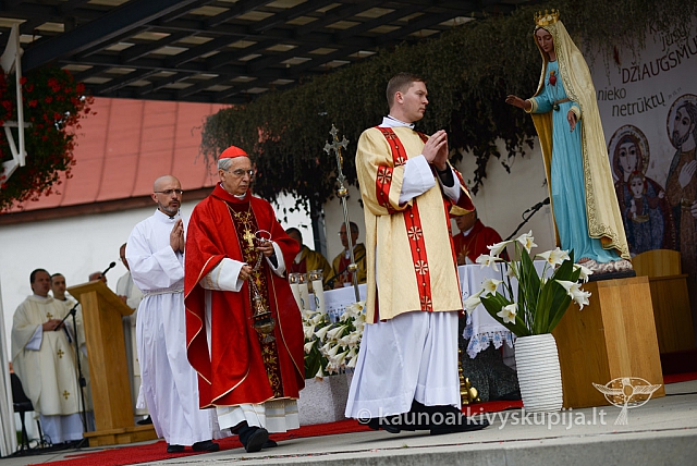 20140914 silines 2890 ms