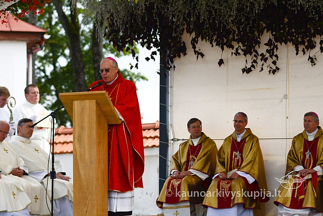 20140914 silines 2896 ms