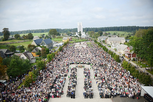 20140914 silines 2902 ms