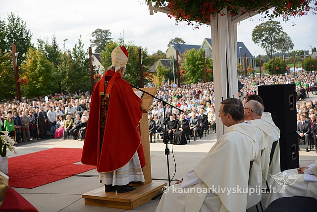 20140914 silines 2929 ms