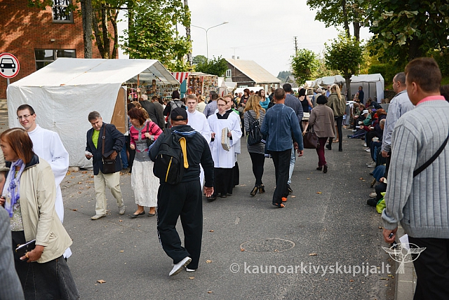 20140914 silines 2941 ms