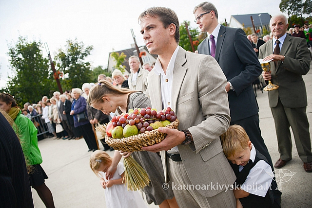 20140914 silines 2968 ms