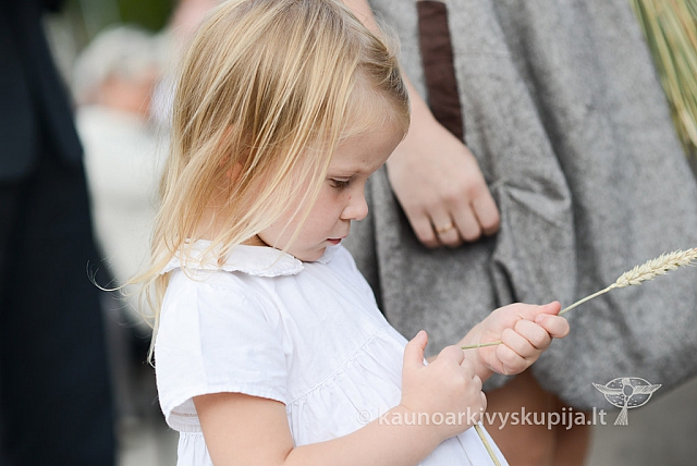 20140914 silines 2980 ms