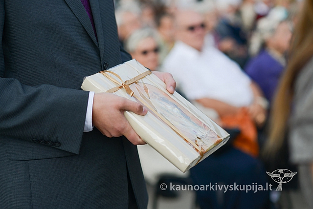 20140914 silines 2983 ms