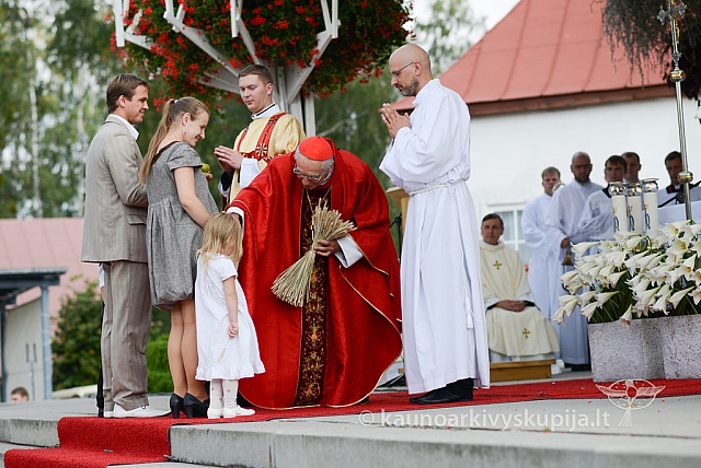 20140914 silines 3000 ms