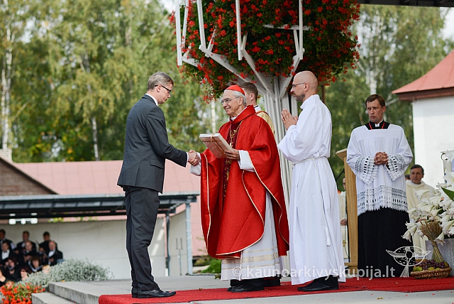 20140914 silines 3010 ms