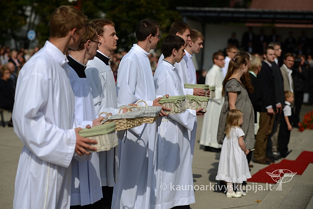 20140914 silines 3025 ms