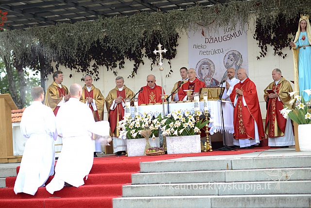 20140914 silines 3040 ms