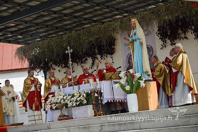 20140914 silines 3043 ms