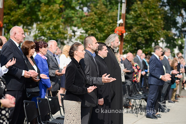 20140914 silines 3045 ms