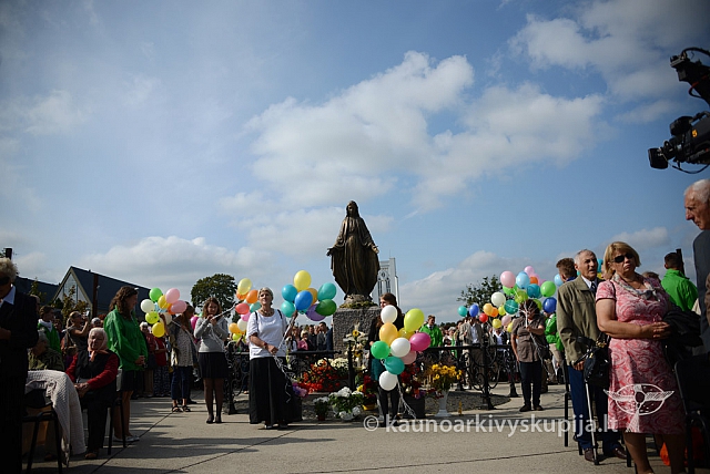 20140914 silines 3063 ms