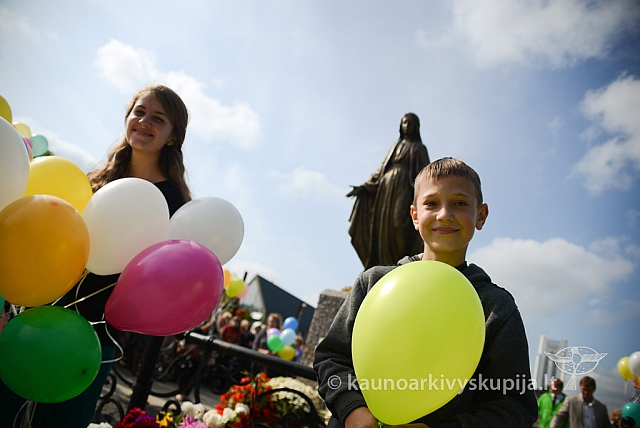 20140914 silines 3070 ms