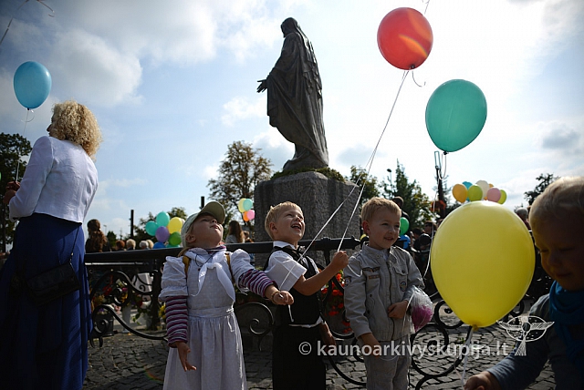 20140914 silines 3071 ms