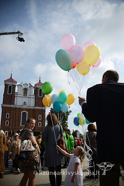 20140914 silines 3077 ms