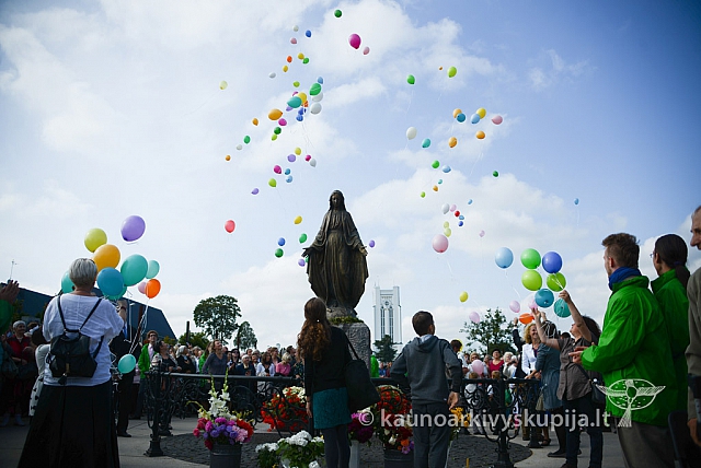 20140914 silines 3104 ms