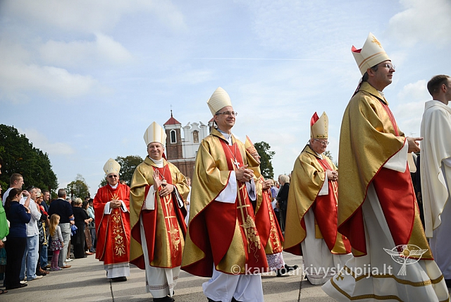 20140914 silines 3133 ms