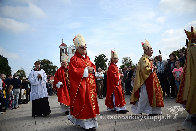 20140914 silines 3136 ms