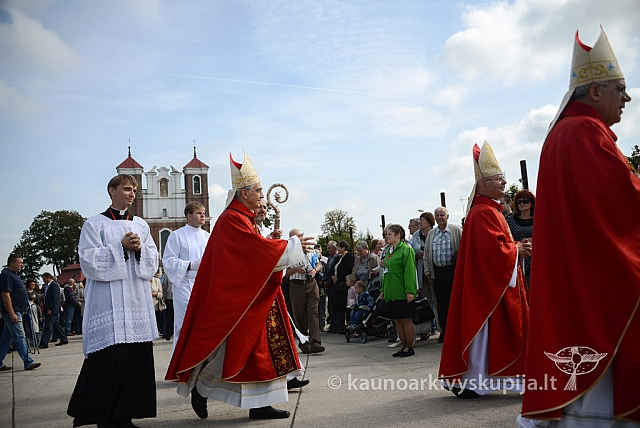 20140914 silines 3138 ms