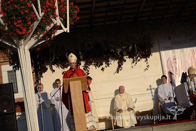 20140914 silines 3194 ms