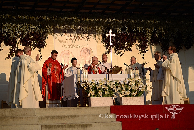 20140914 silines 3219 ms