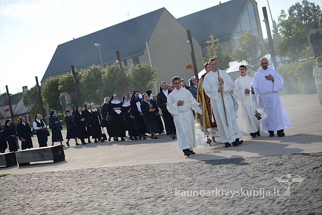 20140915 silines 3345 ms