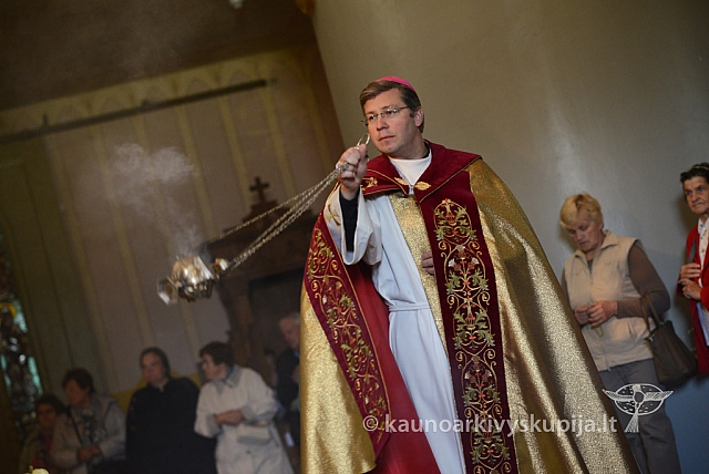 20140915 silines 3385 ms