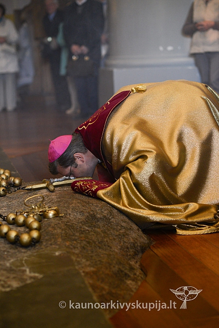 20140915 silines 3386 ms