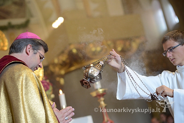 20140915 silines 3391 ms