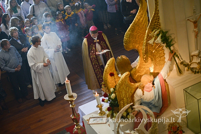 20140915 silines 3414 ms