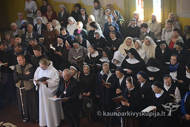 20140915 silines 3418 ms