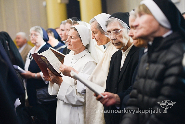 20140915 silines 3438 ms