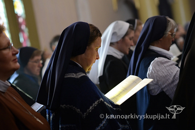 20140915 silines 3445 ms