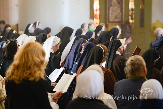 20140915 silines 3451 ms