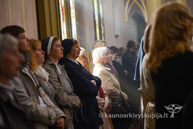 20140915 silines 3454 ms