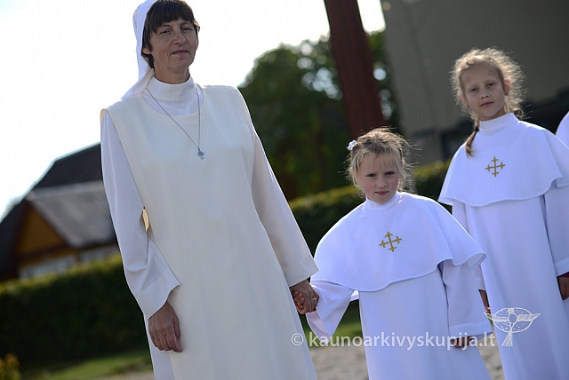 20140915 silines 3546 ms