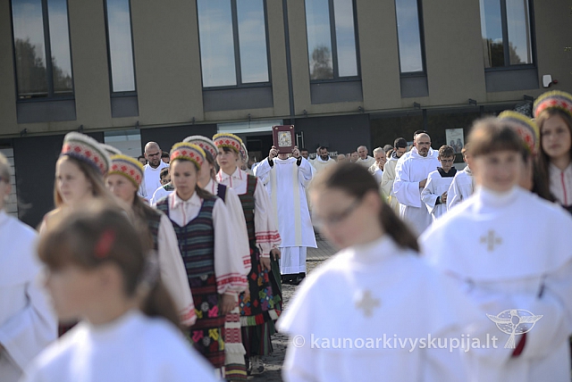 20140915 silines 3550 ms