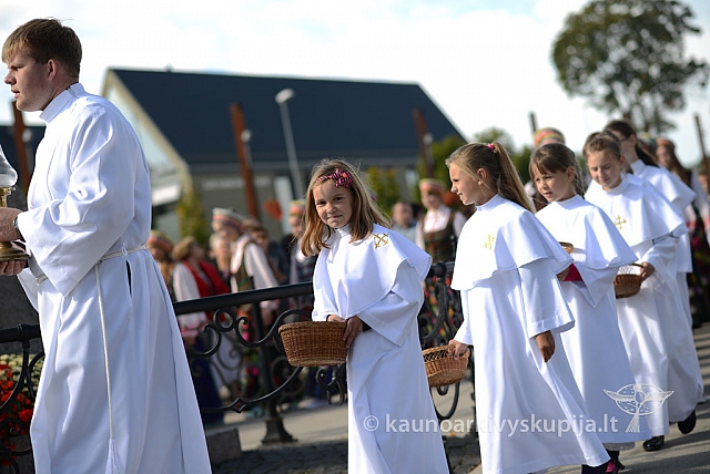 20140915 silines 3558 ms