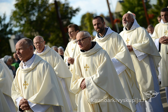 20140915 silines 3572 ms